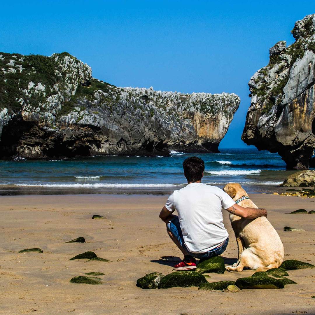 10 playas para perros en España que deberías visitar | Trainline | Trainline