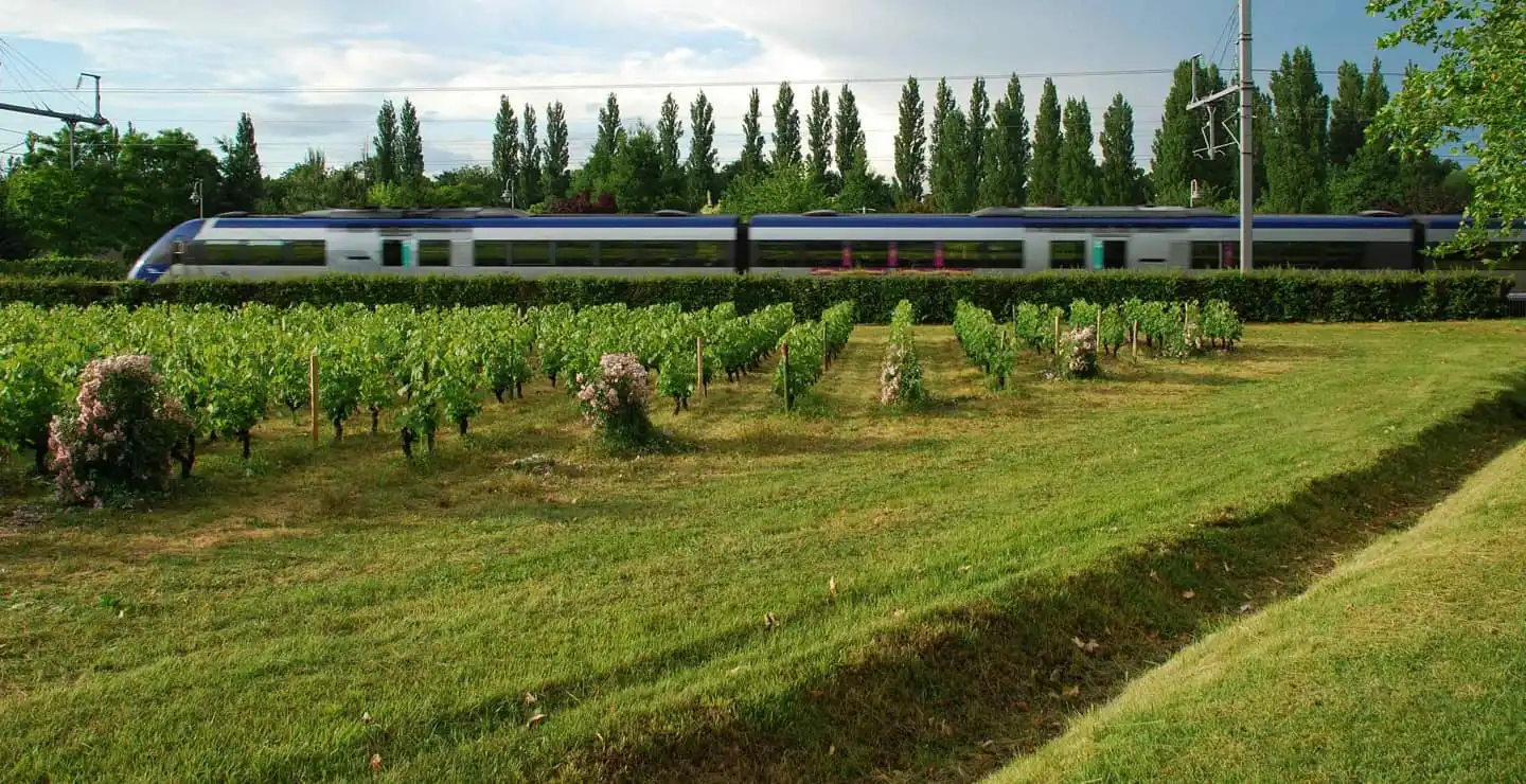 Tarifs Billets Prem's, Seconde, Première, Business Première SNCF | Trainline