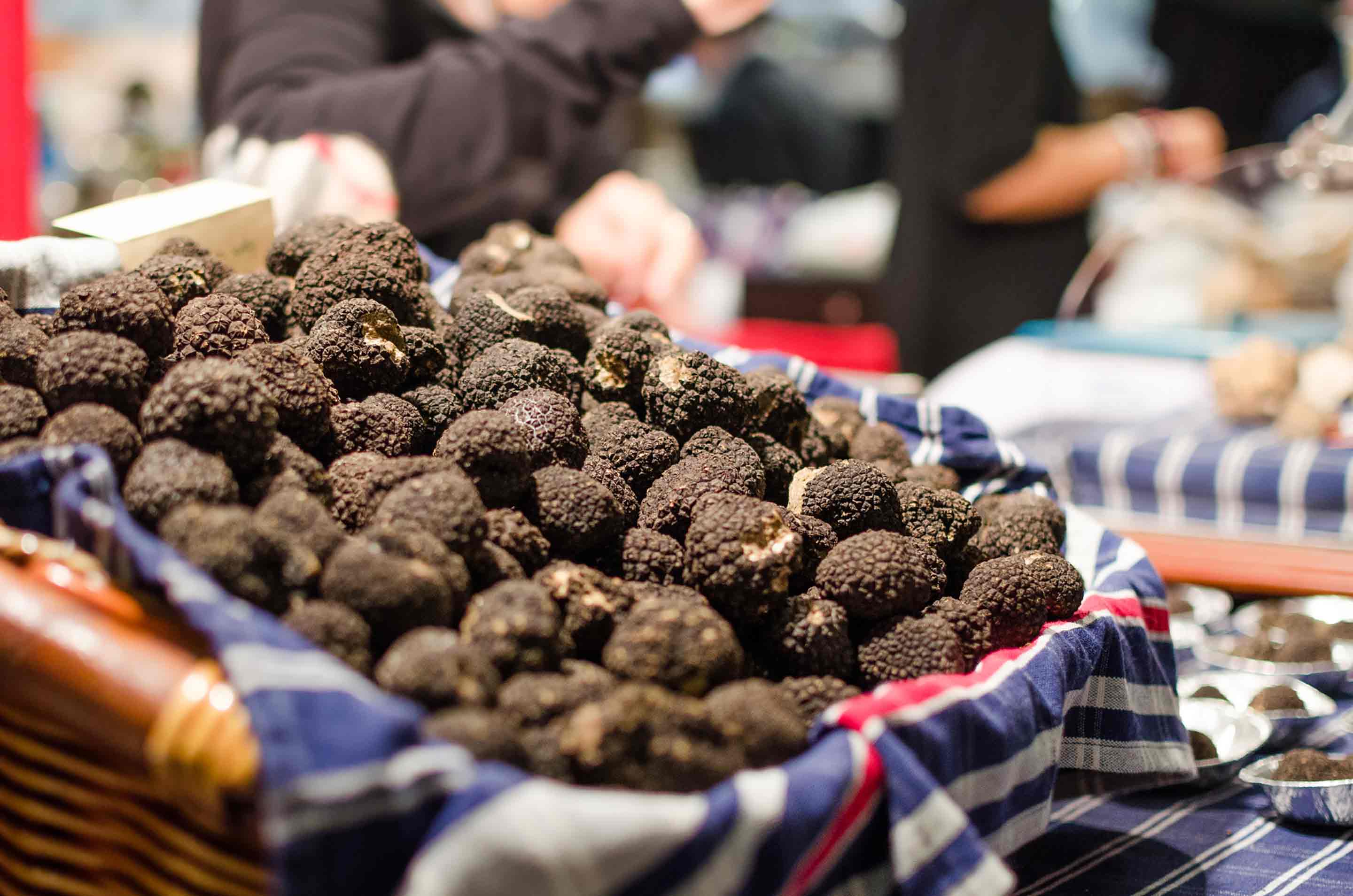 Truffle Hunting 101: What to Know About Truffles in Europe - Trainline