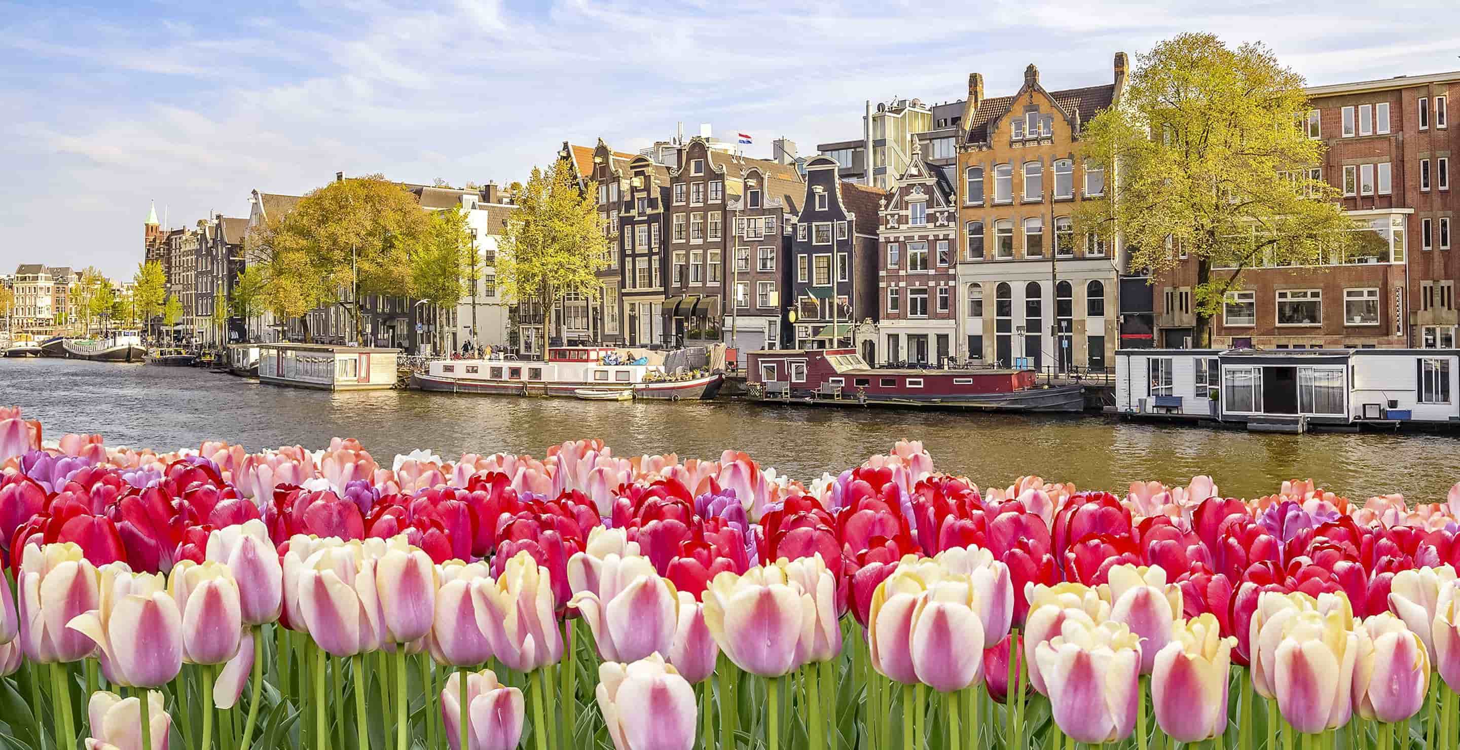 Eurostar Train from London to Amsterdam-Centraal from €57 | Trainline