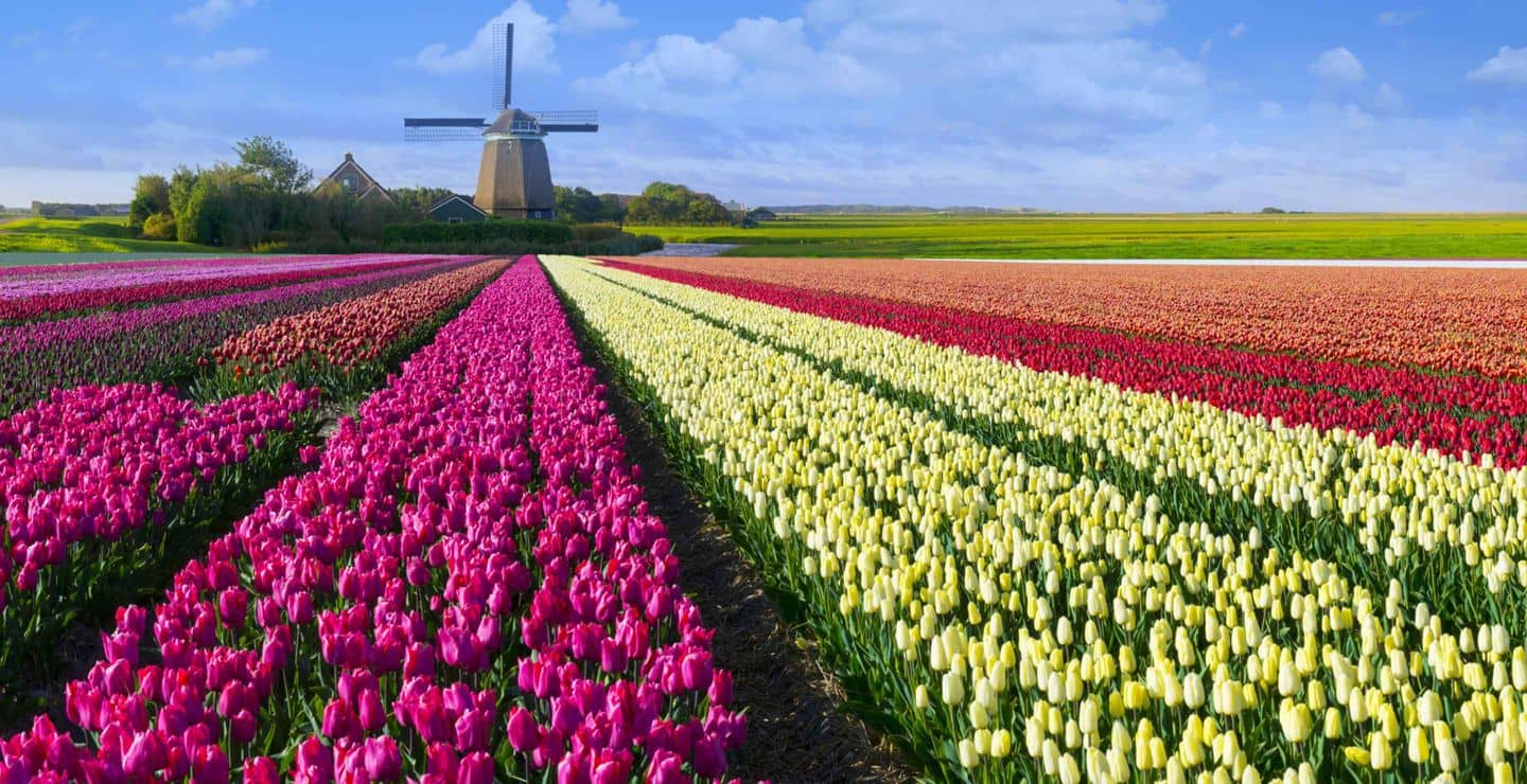 Amsterdam-Centraal to Eindhoven by Train from € 22.60 | Cheap Tickets &  Times | Trainline